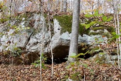 property photo for Autumn Ridge Tract 22, 6 acres for sale in Leslie County, Kentucky