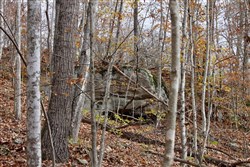 property photo for Autumn Ridge Tract 22, 6 acres for sale in Leslie County, Kentucky