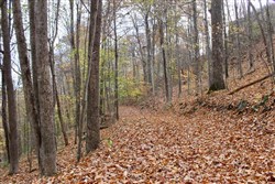 property photo for Autumn Ridge Tract 23, 16.01 acres for sale in Leslie County, Kentucky