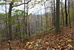 property photo for Autumn Ridge Tract 23, 16.01 acres for sale in Leslie County, Kentucky
