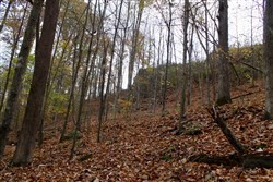 property photo for Autumn Ridge Tract 23, 16.01 acres for sale in Leslie County, Kentucky