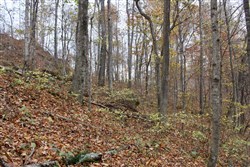 property photo for Autumn Ridge Tract 23, 16.01 acres for sale in Leslie County, Kentucky