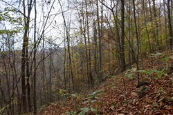 property photo for Autumn Ridge Tract 23, 16.01 acres for sale in Leslie County, Kentucky