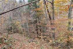 property photo for Autumn Ridge Tract 4, 11.95 acres for sale in Leslie County, Kentucky