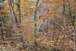 property photo for Autumn Ridge Tract 4, 11.95 acres for sale in Leslie County, Kentucky