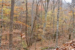property photo for Autumn Ridge Tract 4, 11.95 acres for sale in Leslie County, Kentucky