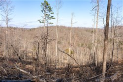 property photo for Creek Hollow Phase I Tract 16, 7.64 acres for sale in Rockcastle County, Kentucky