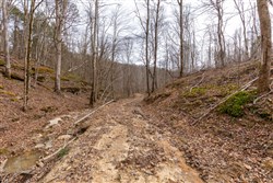 property photo for Creek Hollow Phase I Tract 16, 7.64 acres for sale in Rockcastle County, Kentucky