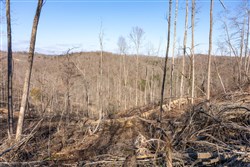 property photo for Creek Hollow Phase I Tract 16, 7.64 acres for sale in Rockcastle County, Kentucky