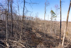 property photo for Creek Hollow Phase I Tract 16, 7.64 acres for sale in Rockcastle County, Kentucky