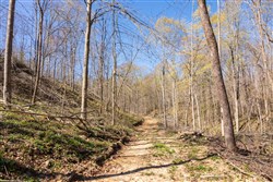 property photo for Creek Hollow Phase I Tract 43, 8.97 acres for sale in Rockcastle County, Kentucky