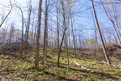 property photo for Creek Hollow Phase I Tract 43, 8.97 acres for sale in Rockcastle County, Kentucky