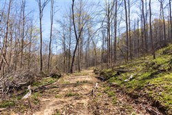 property photo for Creek Hollow Phase I Tract 43, 8.97 acres for sale in Rockcastle County, Kentucky
