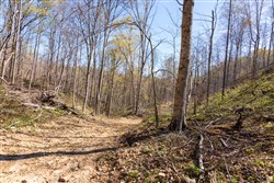 property photo for Creek Hollow Phase I Tract 43, 8.97 acres for sale in Rockcastle County, Kentucky