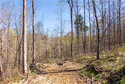 property photo for Creek Hollow Phase I Tract 43, 8.97 acres for sale in Rockcastle County, Kentucky