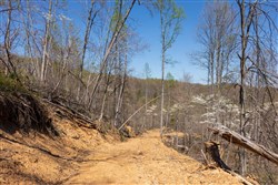 property photo for Creek Hollow Phase I Tract 52, 4.99 acres for sale in Rockcastle County, Kentucky