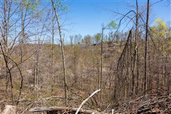 property photo for Creek Hollow Phase I Tract 52, 4.99 acres for sale in Rockcastle County, Kentucky