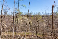 property photo for Creek Hollow Phase I Tract 52, 4.99 acres for sale in Rockcastle County, Kentucky