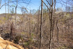 property photo for Creek Hollow Phase I Tract 52, 4.99 acres for sale in Rockcastle County, Kentucky