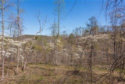 property photo for Creek Hollow Phase I Tract 52, 4.99 acres for sale in Rockcastle County, Kentucky