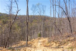 property photo for Creek Hollow Phase I Tract 54, 3.45 acres for sale in Rockcastle County, Kentucky
