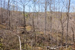 property photo for Creek Hollow Phase I Tract 54, 3.45 acres for sale in Rockcastle County, Kentucky
