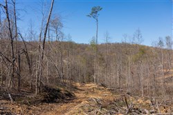 property photo for Creek Hollow Phase I Tract 54, 3.45 acres for sale in Rockcastle County, Kentucky