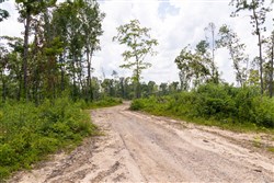 property photo for Creek Hollow Phase II Tract 57, 11.98 acres for sale in Rockcastle County, Kentucky