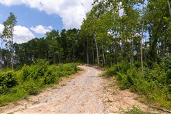 property photo for Creek Hollow Phase II Tract 57, 11.98 acres for sale in Rockcastle County, Kentucky