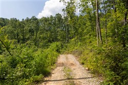 property photo for Creek Hollow Phase II Tract 58, 11.99 acres for sale in Rockcastle County, Kentucky