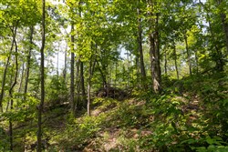 property photo for Creek Hollow Phase II Tract 58, 11.99 acres for sale in Rockcastle County, Kentucky