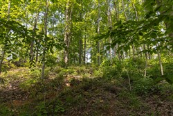 property photo for Creek Hollow Phase II Tract 58, 11.99 acres for sale in Rockcastle County, Kentucky