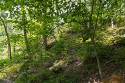 property photo for Creek Hollow Phase II Tract 58, 11.99 acres for sale in Rockcastle County, Kentucky