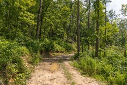 property photo for Creek Hollow Phase II Tract 58, 11.99 acres for sale in Rockcastle County, Kentucky