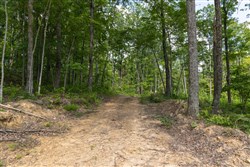 property photo for Creek Hollow Phase II Tract 59, 9.98 acres for sale in Rockcastle County, Kentucky