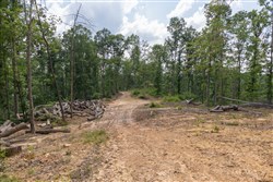 property photo for Creek Hollow Phase II Tract 59, 9.98 acres for sale in Rockcastle County, Kentucky