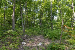 property photo for Creek Hollow Phase II Tract 59, 9.98 acres for sale in Rockcastle County, Kentucky
