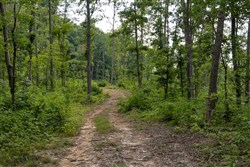 property photo for Creek Hollow Phase II Tract 60, 15.65 acres for sale in Rockcastle County, Kentucky