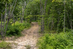 property photo for Creek Hollow Phase II Tract 60, 15.65 acres for sale in Rockcastle County, Kentucky