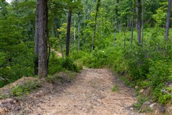 property photo for Creek Hollow Phase II Tract 61, 14 acres for sale in Rockcastle County, Kentucky
