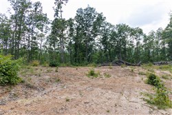 property photo for Creek Hollow Phase II Tract 61, 14 acres for sale in Rockcastle County, Kentucky