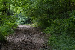 property photo for Creek Hollow Phase II Tract 62, 24.59 acres for sale in Rockcastle County, Kentucky