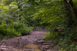 property photo for Creek Hollow Phase II Tract 62, 24.59 acres for sale in Rockcastle County, Kentucky