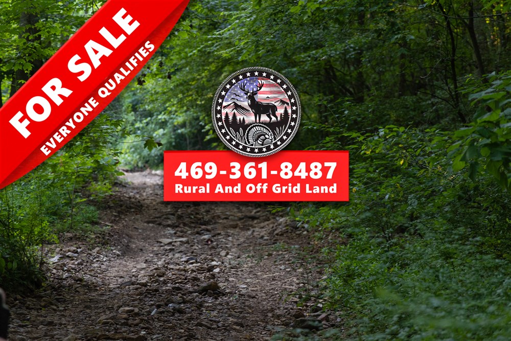 24.59 acre rural land tract for sale at Creek Hollow Phase II Tract 62 in Rockcastle County, Kentucky