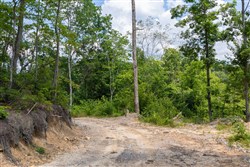 property photo for Creek Hollow Phase II Tract 68, 17.23 acres for sale in Rockcastle County, Kentucky