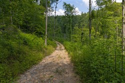 property photo for Creek Hollow Phase II Tract 69, 9.75 acres for sale in Rockcastle County, Kentucky