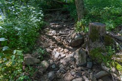 property photo for Creek Hollow Phase II Tract 69, 9.75 acres for sale in Rockcastle County, Kentucky