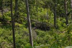 property photo for Creek Hollow Phase II Tract 69, 9.75 acres for sale in Rockcastle County, Kentucky