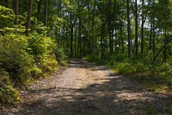 property photo for Creek Hollow Phase II Tract 69, 9.75 acres for sale in Rockcastle County, Kentucky