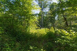 property photo for Creek Hollow Phase II Tract 74, 19.03 acres for sale in Rockcastle County, Kentucky